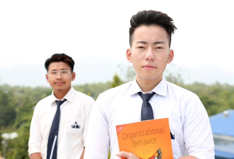 undergraduate education